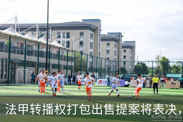 法甲转播权打包出售提案将表决，自营平台年入不足9000万欧
