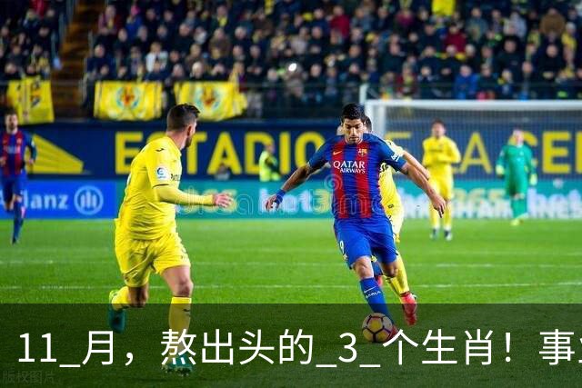 11 月，熬出头的 3 个生肖！事业逐步走高，辛苦付出开始变现